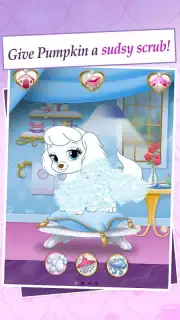 Palace Pets captura 8