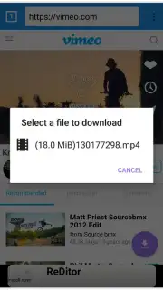 VIP Video downloader captura 4