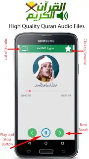 Audio Quran captura 2