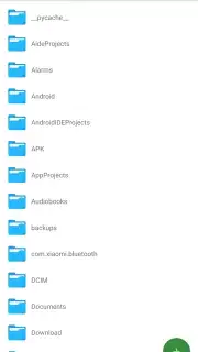 SV File Manager captura 4