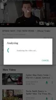 VidPaw App captura 5