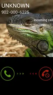 Fake Call 2 captura 5