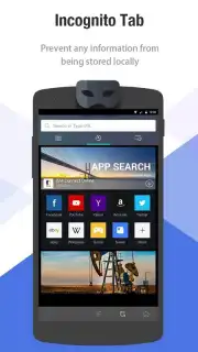 Браузер Internet captura 6
