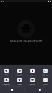 Private Browser captura 1
