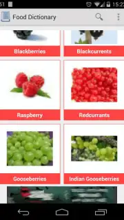 Food Dictionary captura 4