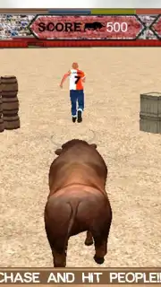 Angry Bull Attack Arena Sim 3D captura 14