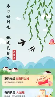 UnionPay captura 6