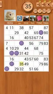 Loto Online captura 1