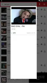 iTube Pro captura 2
