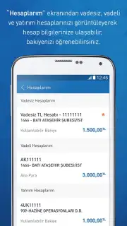 Halkbank captura 5