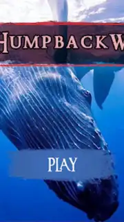 The Humpback Whales captura 4