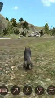 The Wolf captura 7
