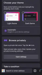 Iceraven Browser captura 4