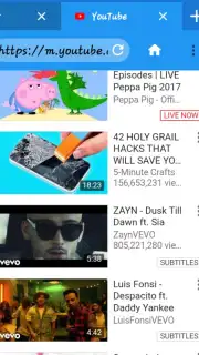 Fast browser W browser captura 1