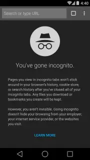 Chrome Canary captura 6