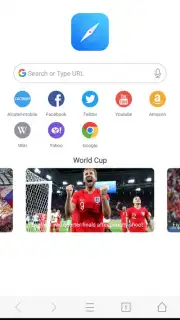Mini Private Browser: Fast Search, Download, No Ad captura 7