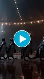 Hailuo AI captura 1