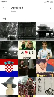 Google Gallery captura 7