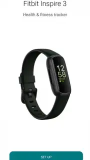 Fitbit captura 13