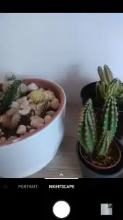 OnePlus Camera (Android 10) captura 2