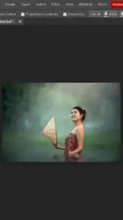 Photopea captura 4
