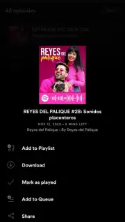 Spotify captura 18