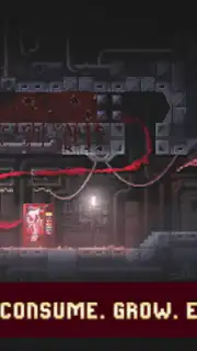 Carrion captura 4
