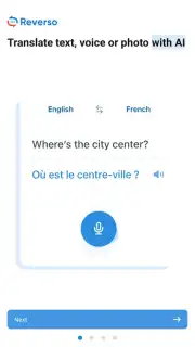 Reverso Translation Dictionary captura 22