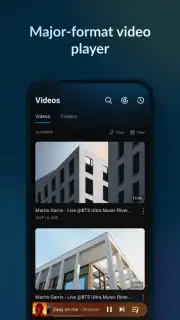 Lark Player - MP3 Music Player captura 6