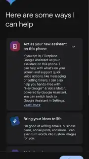 Google Gemini captura 2