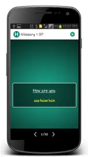 Learn Hindi captura 4