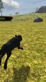 Wild Life: Wolf Clan captura 8