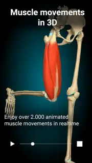 3D Anatomy Learning captura 5