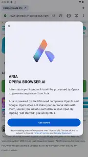 Opera Browser captura 22