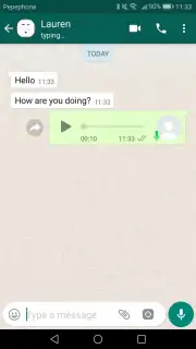Fake Chat Whatsapp captura 7