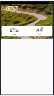 Zoomcar captura 2