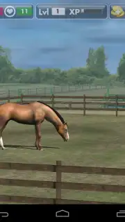 My Horse captura 8