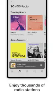 Sonos captura 3