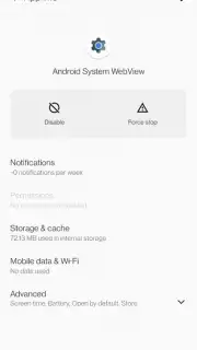 Android System WebView captura 11