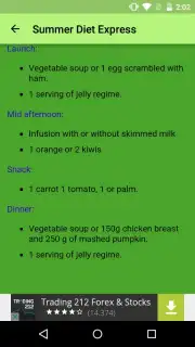 Summer Diet Express captura 2