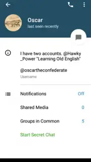 Via Messenger - Unofficial Telegram App captura 18