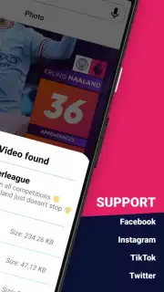 Video Downloader captura 4