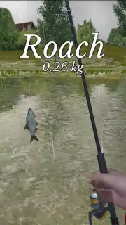Ultimate Fishing Simulator captura 6