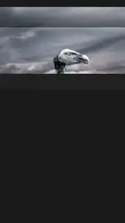 My Movies Free captura 12