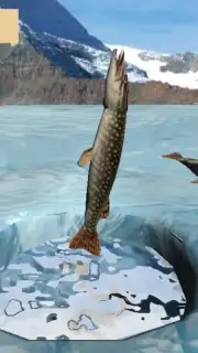 Winter Fishing 3D captura 5
