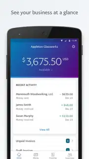 PayPal Business captura 1