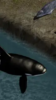Orca Simulator captura 2