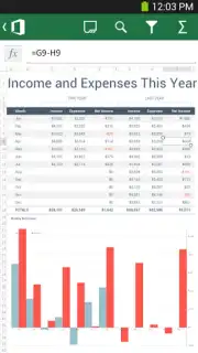 Microsoft Office Mobile captura 2