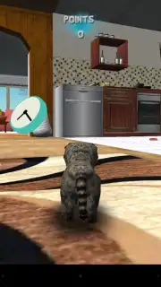 Cat Simulator captura 3