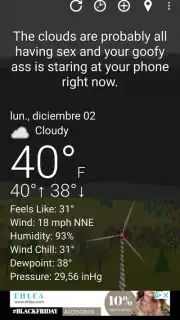 What The Forecast captura 2